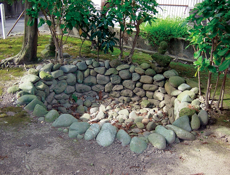 Image1